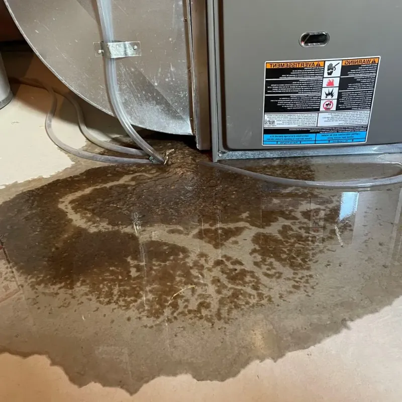 Pipe Burst and Leak Restoration in Laurel Hollow, NY